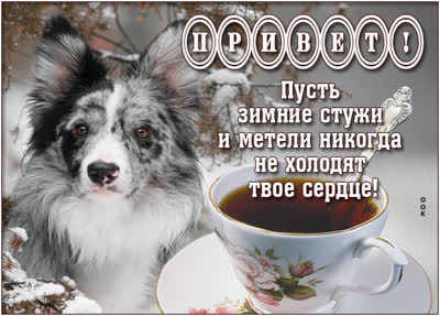 Picture яркая открытка привет