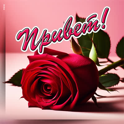 Postcard яркая открытка привет