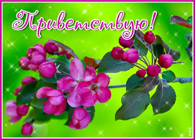 Picture яркая открытка приветствую