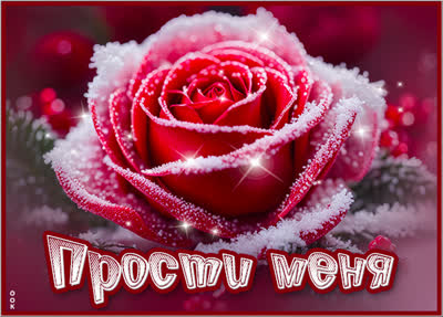 Picture яркая открытка прости меня