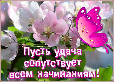 Postcard яркая открытка пусть душа сопутствует всем начинаниям