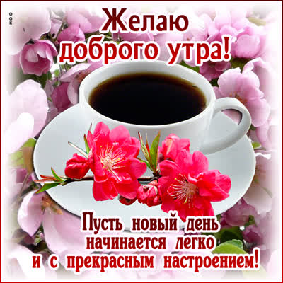 Picture яркая открытка пусть новый день начинается легко