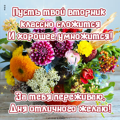 Postcard яркая открытка пусть твой вторник классно сложится