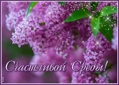 Postcard яркая открытка счастливой среды