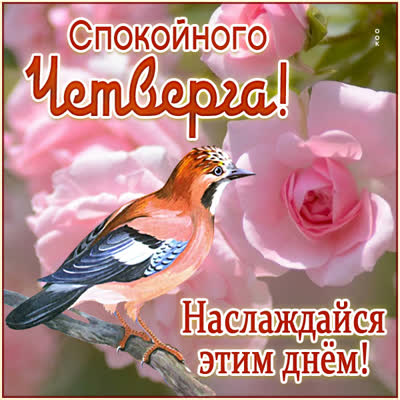 Picture яркая открытка спокойного четверга