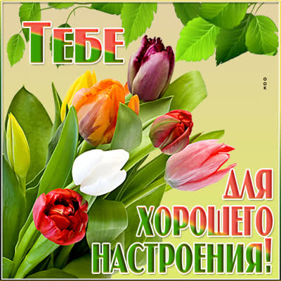 Postcard яркая открытка тебе для хорошего настроения