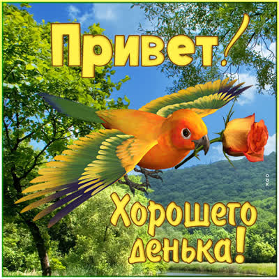 Picture яркая открытка хорошего денька