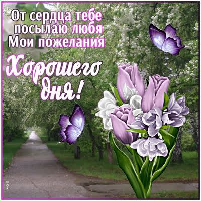 Postcard яркая открытка хорошего дня