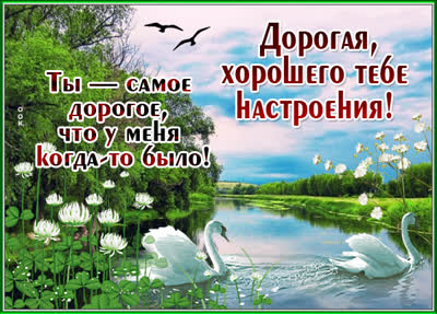 Picture яркая открытка хорошего тебе настроения