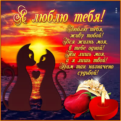 Postcard яркая открытка я люблю тебя