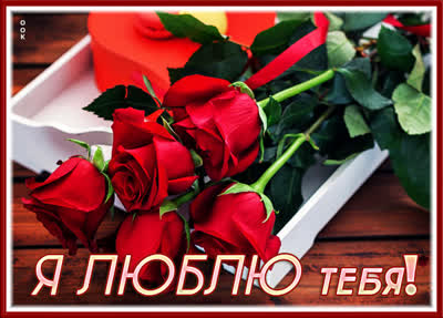 Postcard яркая открытка я люблю тебя