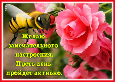 Postcard яркая открытка замечательного настроения