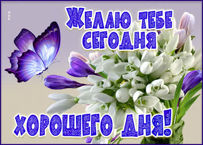 Picture яркая открытка желаю тебе сегодня  хорошего дня