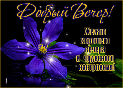 Postcard яркая открытка желаю хорошего вечера