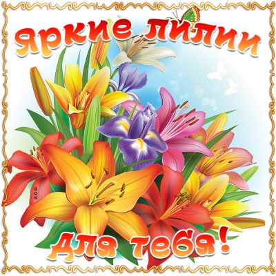 Картинка яркие лилии для тебя