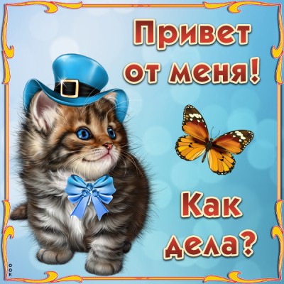 Открытка яркий приветик тебе посылаю