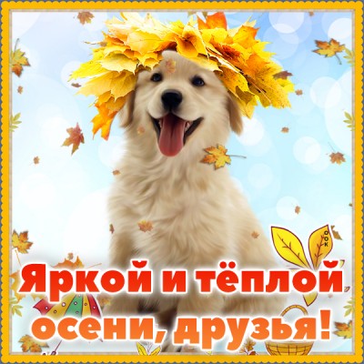 Открытка яркой и тёплой осени, друзья