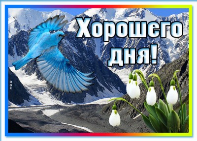 Открытка забавная картинка хорошего дня