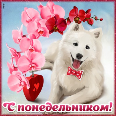 Открытка забавная картинка с понедельником
