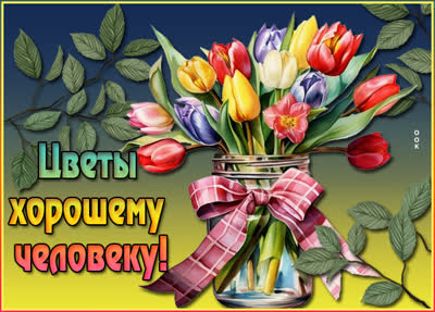 Picture забавная открытка цветы хорошему человеку