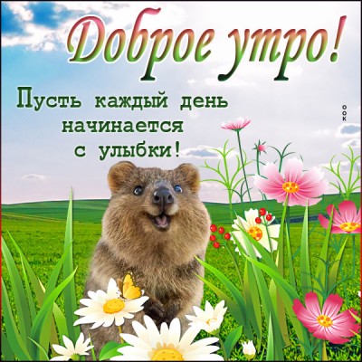 Открытка забавная открытка доброе утро