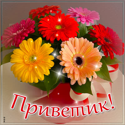 Picture забавная открытка приветик