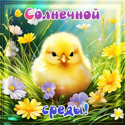 Picture забавная открытка солнечной среды