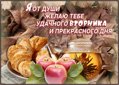 Postcard загадочная картинка удачного вторника
