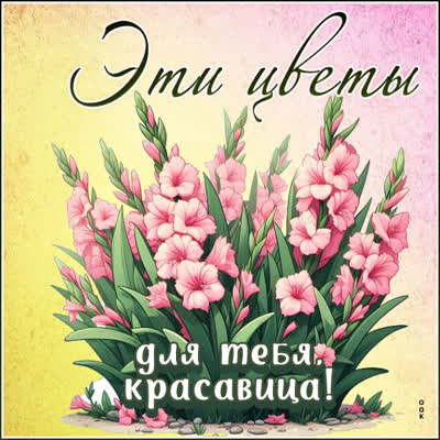 Picture загадочная открытка эти цветы для тебя, красавица