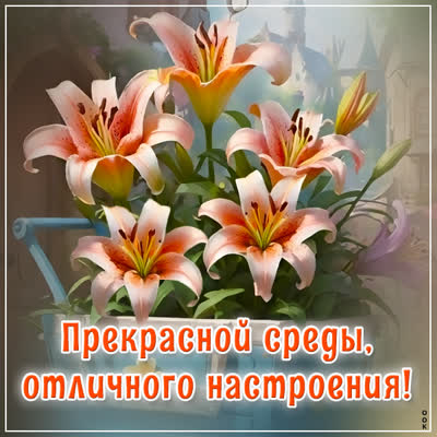 Picture замечательная картинка прекрасной среды
