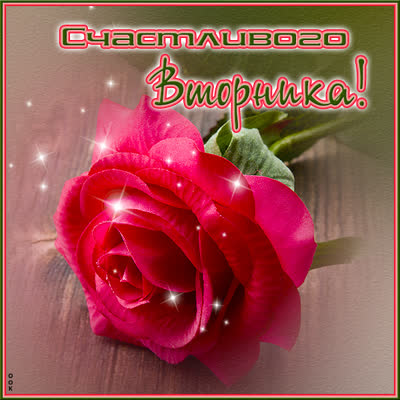 Picture замечательная картинка счастливого вторника