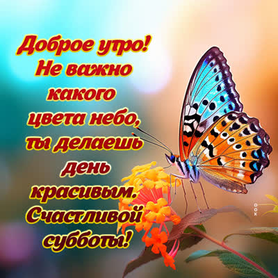 Picture замечательная картинка счастливой субботы