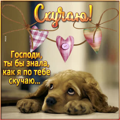 Postcard замечательная картинка скучаю