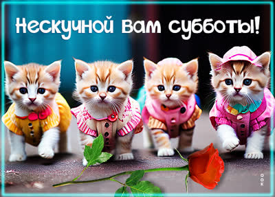 Picture замечательная открытка нескучной вам субботы