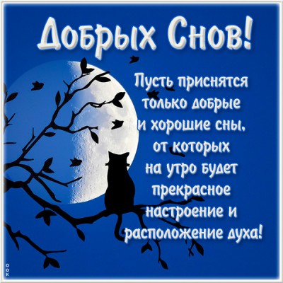 Картинка замечательная картинка спокойной ночи с кошкой
