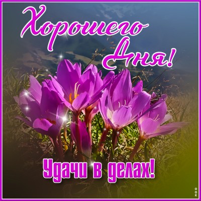 Картинка замечательная открытка хорошего дня