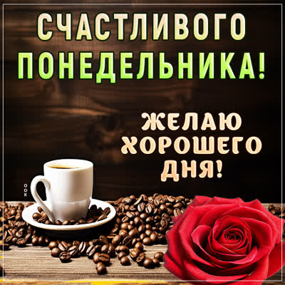 Postcard завораживающая открытка желаю хорошего дня