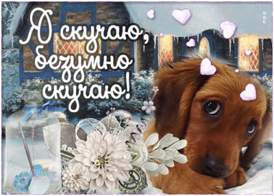 Postcard зажигательная открытка я скучаю