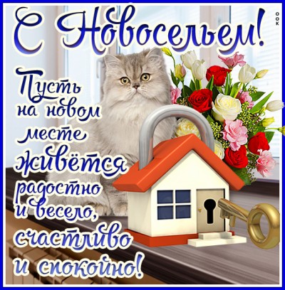 Открытка желаю прекрасного настроения в новоселье