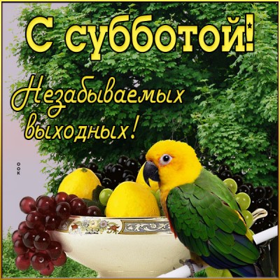Картинка живая открытка с субботой