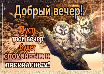 Открытка зимняя картинка добрый вечер