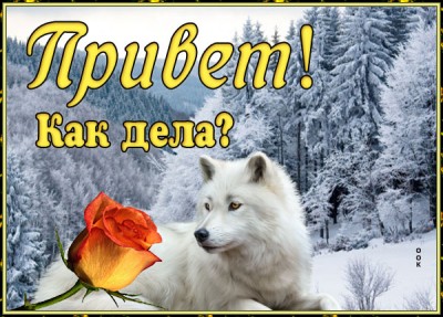 Открытка зимняя картинка привет