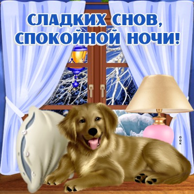 Открытка зимняя картинка спокойной ночи с собакой