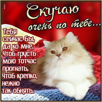 Открытка знай, я так по тебе скучаю
