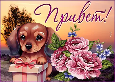 Postcard благоприятная открытка привет