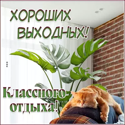 Postcard блестящая открытка хороших выходных с котом