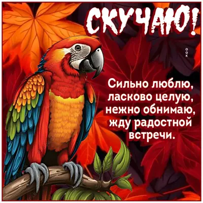 Postcard чарующая открытка скучаю