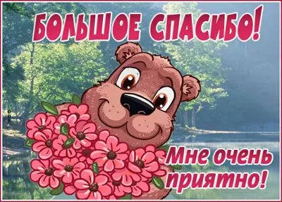 Postcard чудесная картинка большое спасибо