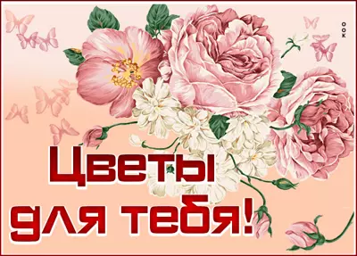 Picture чудесная картинка цветы для тебя