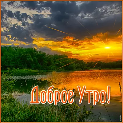 Postcard чудесная картинка доброе утро